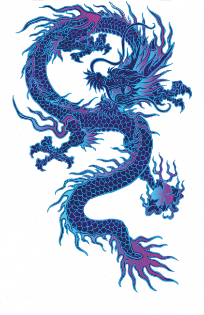 Bluza NeverFadeAway - DRAGON 2