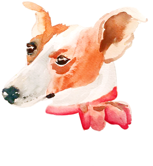 Kubek ,, Diva the dog''