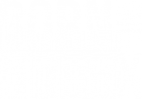 Born in 1960