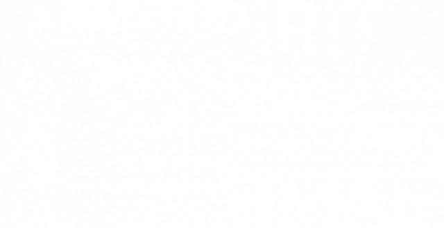 Koszulka - My spirit animal (foka)