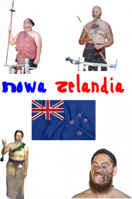 Koszulka - Nowa Zelandia (różne wersje kolorystyczne)
