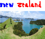 Miś - Nowa Zelandia