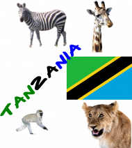 T-Shirt - Tanzania's Animals