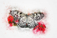 Motyl kwiaty maseczka