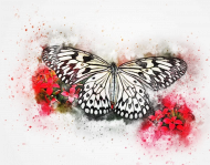 Motyl kwiaty Koszulka BW