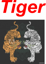 Fartuch dla Kobiet od Tigera