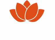 Koszulka Sayuri