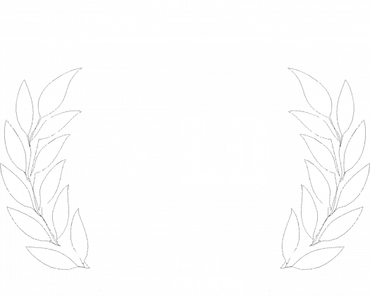 II LO Toruń im. Królowej Jadwigi