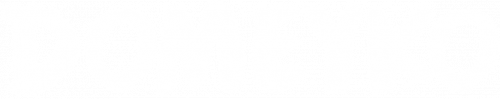 T-shirt męski (Domeyko)