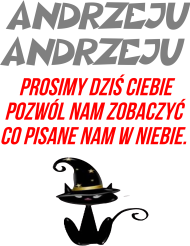 KOSZULKA DAMSKA ,,ANDRZEJKI,,