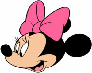 KOSZULKA DZIEWCZĘCA ,,MYSZKA MINNIE,, - nadruk