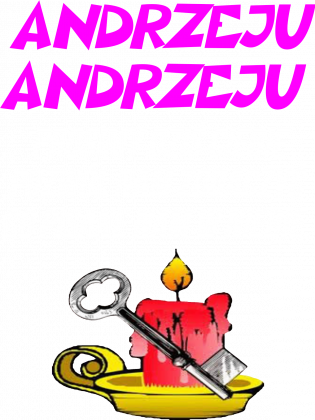 KOSZULKA DAMSKA ,,ANDRZEJKI,,