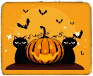 Halloween cats, czarne koty z dynią