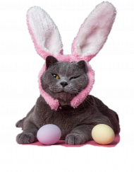 Torba- Kot życzy wesołych Świąt Wielkanocnych