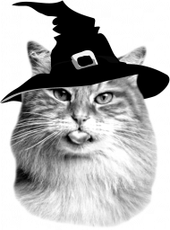 Koszulka Kot Halloween w kapeluszu