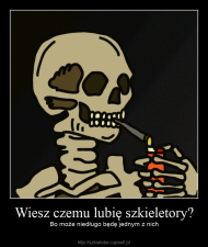 Koszulka Damska "Wiesz czemu lubię szkieletory?"