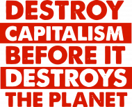 Koszulka "Destroy Capitalism"