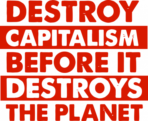 Koszulka "Destroy Capitalism"