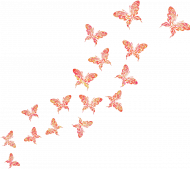 Bluza dziewczęca "Różowy motyl"