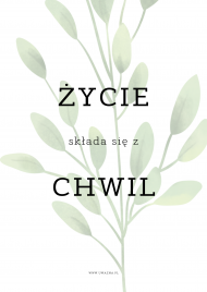 Życie składa się z chwil - Typografia roślinna