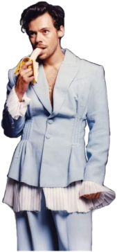 Koszulka Harry Styles