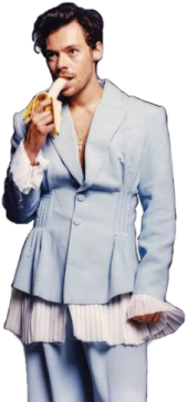 Koszulka Harry Styles