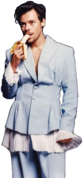 Koszulka Harry Styles