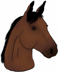 Miś Your Horse- Gniady