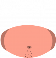 what're you lookin at my gut fer?