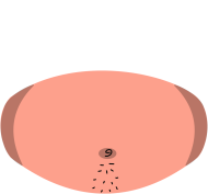 Vancouver Phil T-shirt