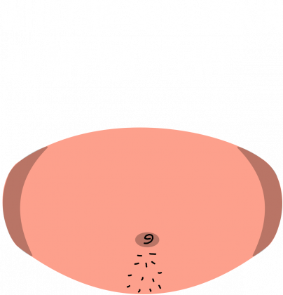 what're you lookin at my gut fer?