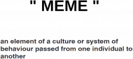 "MEME" CASE