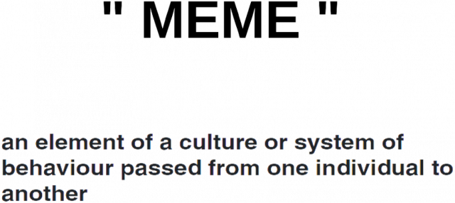 "MEME" CASE