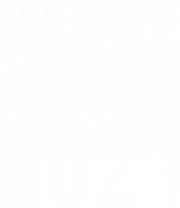 Happy New Year koszulka
