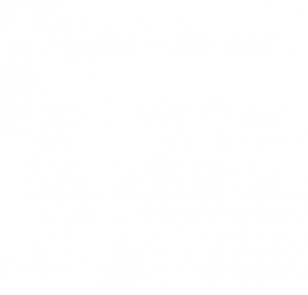 Koszulka Męska Odważni nie żyją wiecznie, lecz ostrożni nie żyją wcale