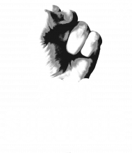 Longsleeve 2020 survivor
