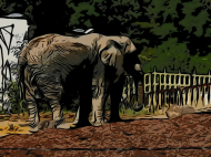Komin FULLPRINT z nadrukiem słonia