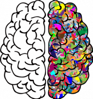 Bluza damska klasyczna *The beautiful brain
