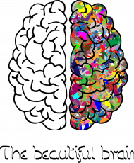 Bluza damska kapturem *The beautiful brain