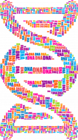 Koszulka Męska *DNA Double Helix