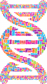 Koszulka Damska *DNA Double Helix