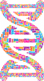 Bluza Męska Double Color *DNA Double Helix