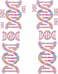 Japonki *DNA Double Helix