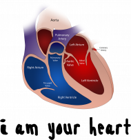 Body Niemowlęce *Heart