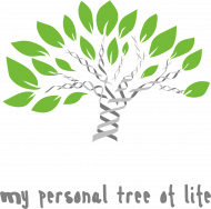 Koszulka męska *My personal tree of life