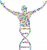 Koszulka męska *DNA