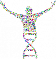 Kubek klasyczny *DNA