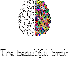 Kubek *The beautiful brain