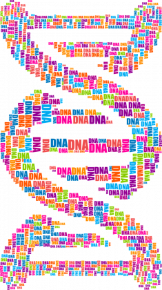 Bluza Męska z Kapturem *DNA Double Helix