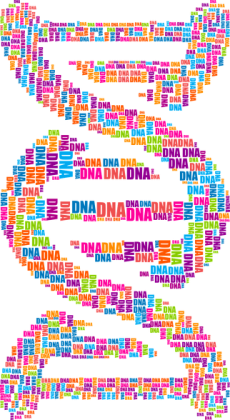 Bluza Męska Double Color *DNA Double Helix